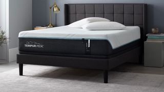 Best luxury mattress: Tempur-Pedic Tempur-Adapt memory foam Mattress shown on a black bed frame placed on a grey carpet in a luxury bedroom