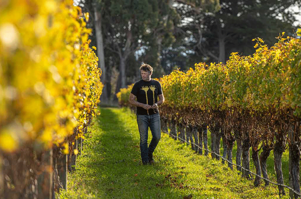 Ben Glover - Glover Family Wines / Vineyard Productions