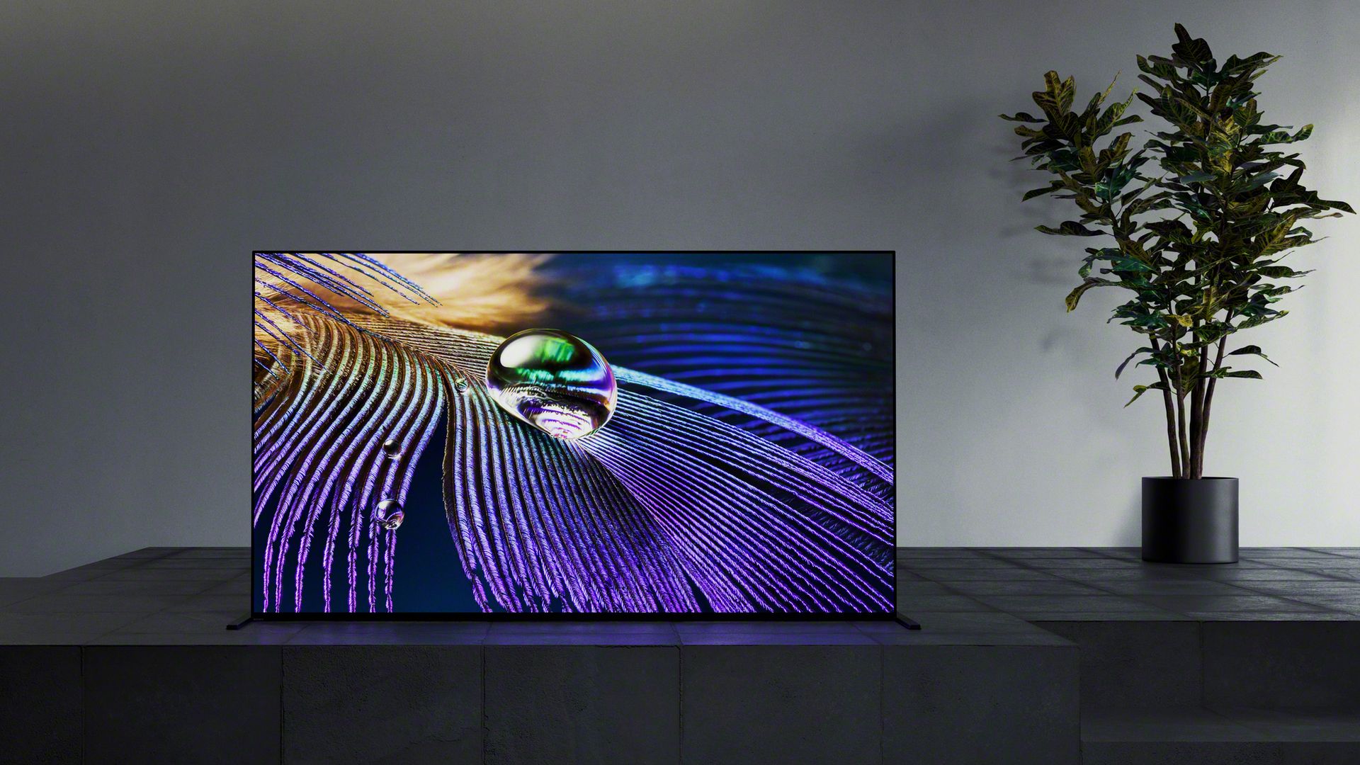 Sony's top 2021 OLED TV is finally on sale — if you can afford it | Tom ...