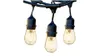Brightech Ambience Pro