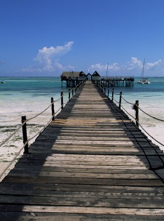 Zanzibar dream travel destinations photo