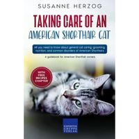 Taking Care Of An American Shorthair | Amazon