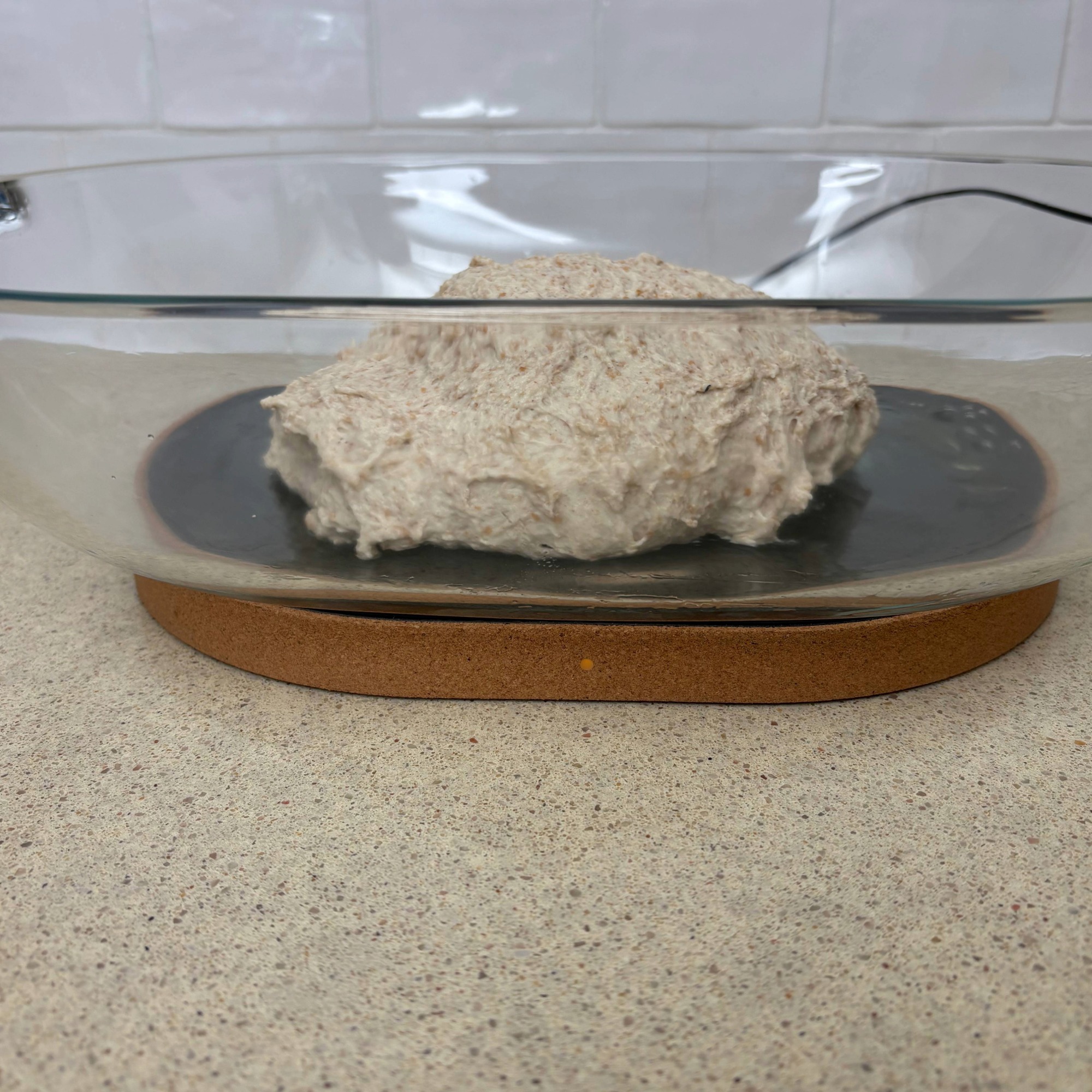 Testing the SourHouse DoughBed Sourdough Keeper