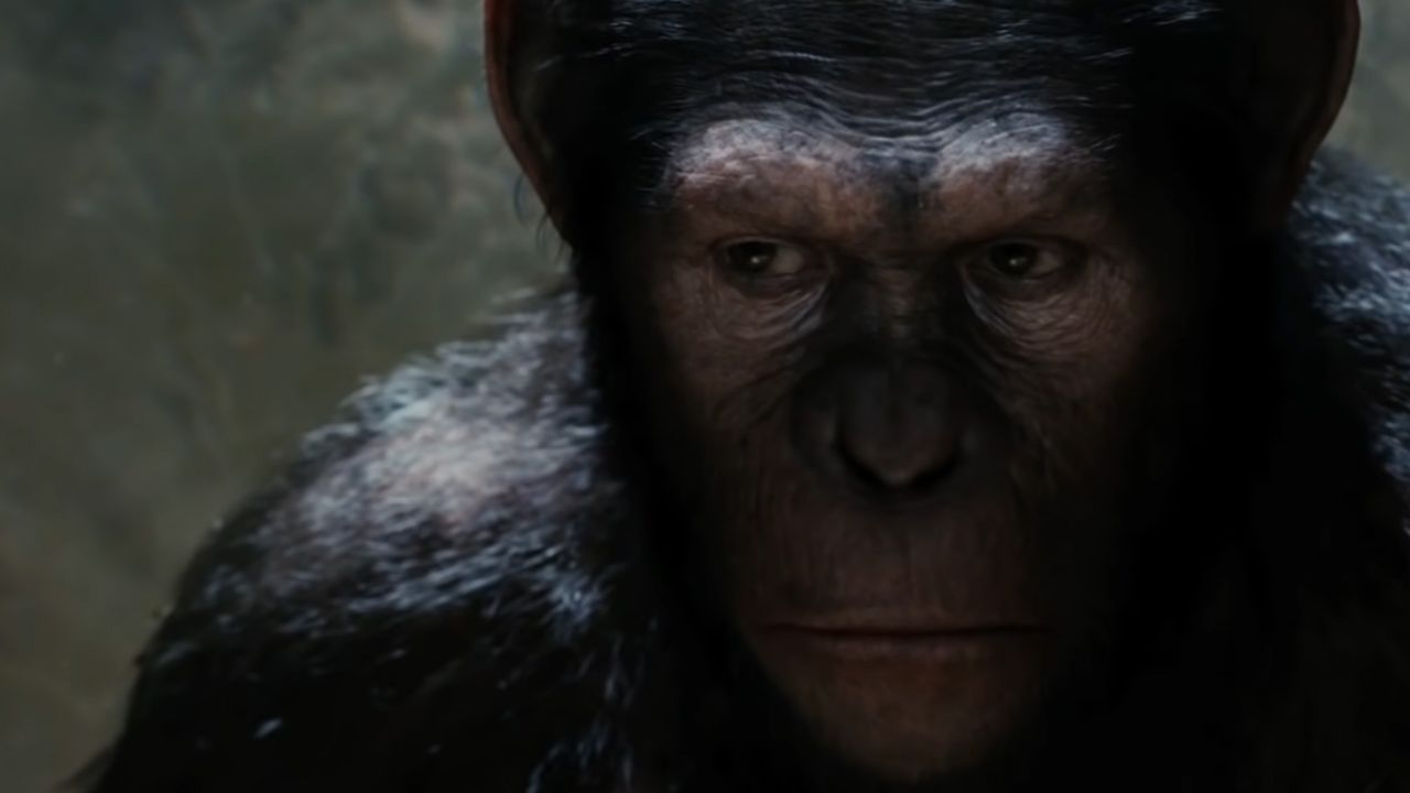 Rise of the Planet of the Apes