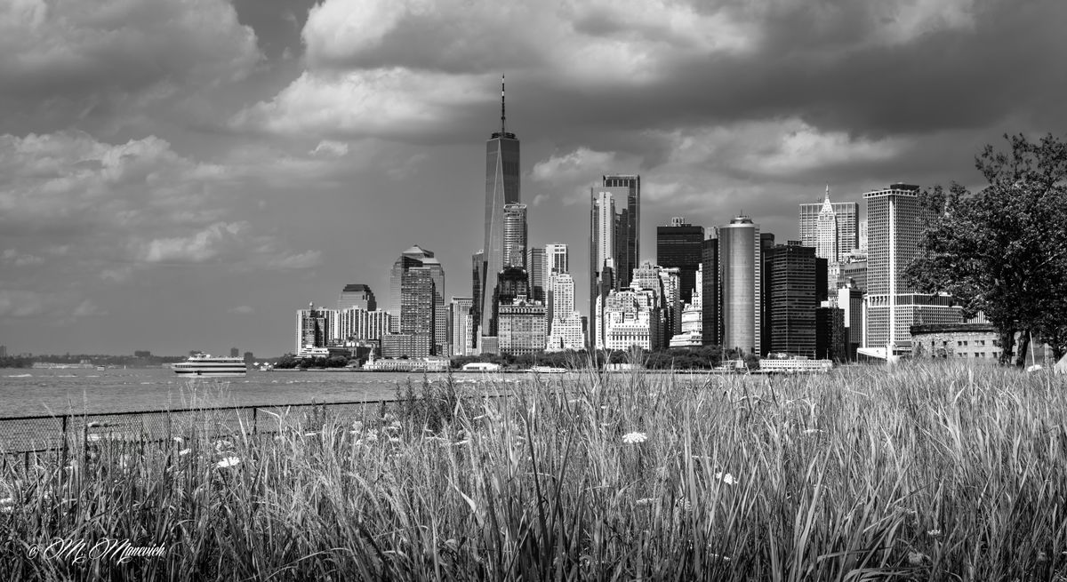 GuruShots - Powerful Black &amp; White Jan 26