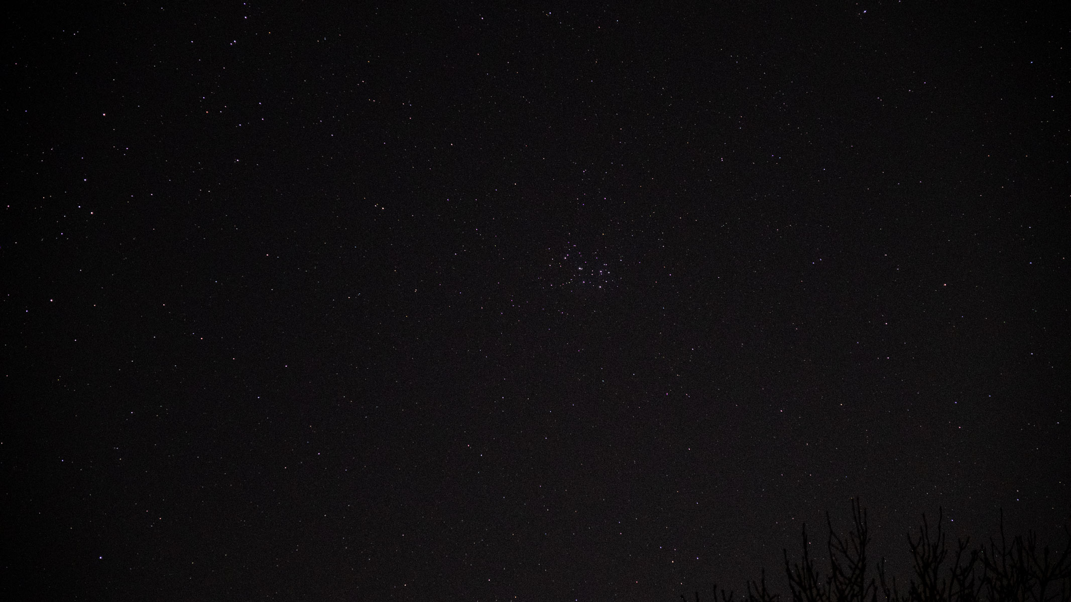 Pleaides star cluster in the night sky.