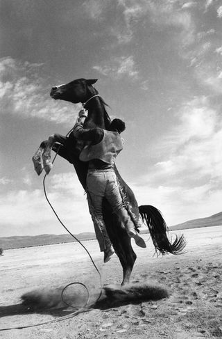 Leaping horse, on the set of the Misfits