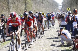 The peloton was lined out during the famous Forest of Arenberg crossing