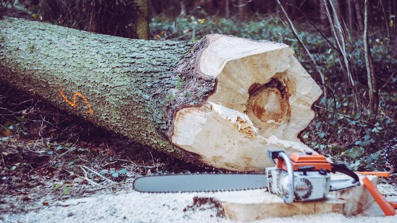 orange and silver chainsaw in front of tree