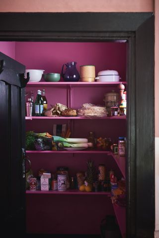 A pantry painted in aubergine purple