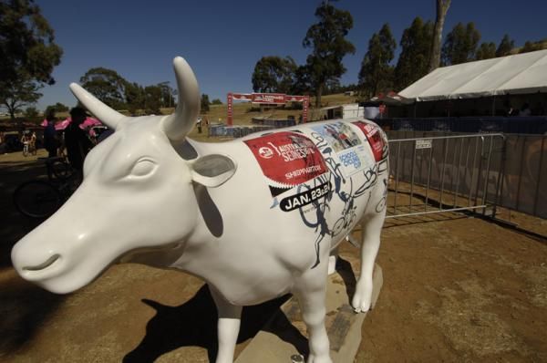 Shepparton, well known for its dairy and agriculture.