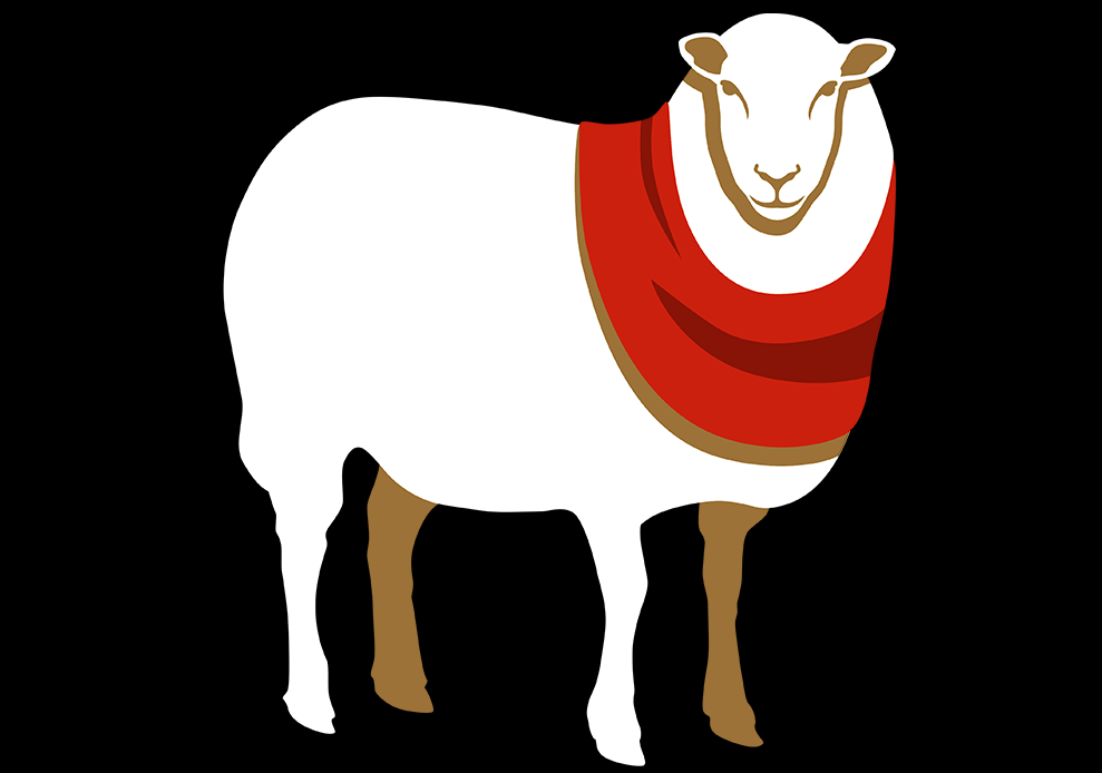 Sheep scout is king of scouts.