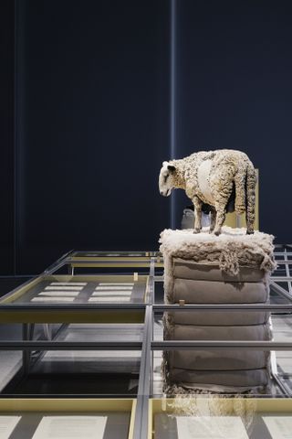 Formafantasma's Oltre Terra: our relationship with wool | Wallpaper