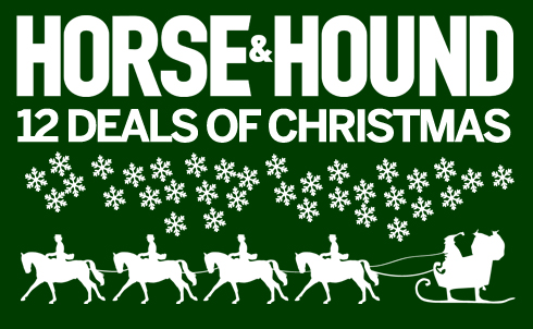 12 deals of Christmas