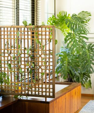 Houseplant trellis in bathroom