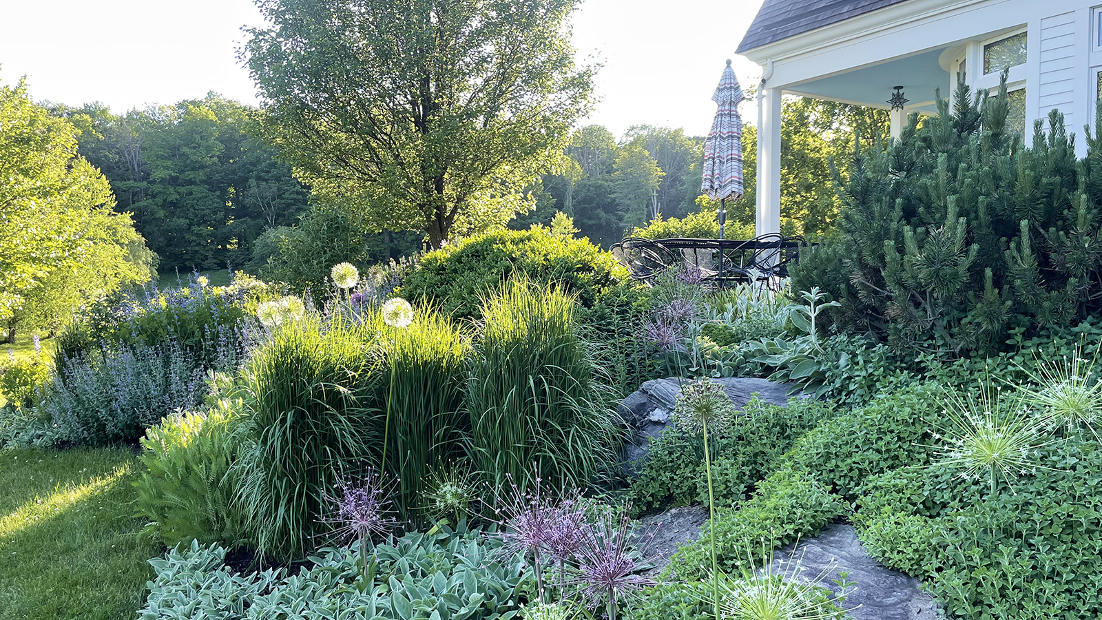Lost Pond Hillside NY garden