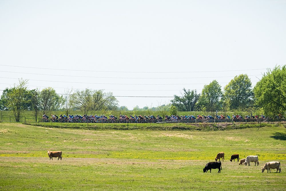Farm life - Joe Martin Stage Race stage 3