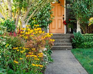 Front yard with sunny hot colored border plants