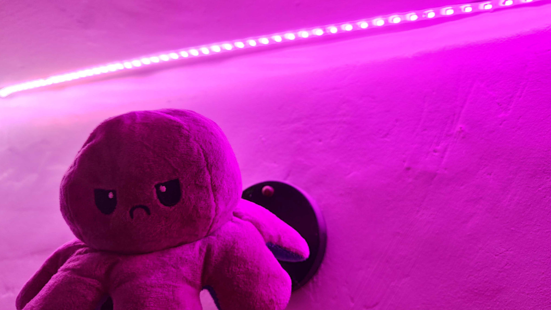 Govee LED Strip Light M1 Review: Brightest and Best