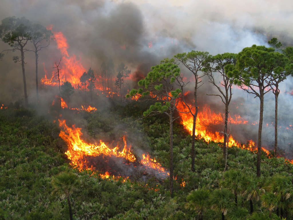 center fire near kennedy space center