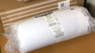 Casper Hybrid Pillow wrapped in plastic