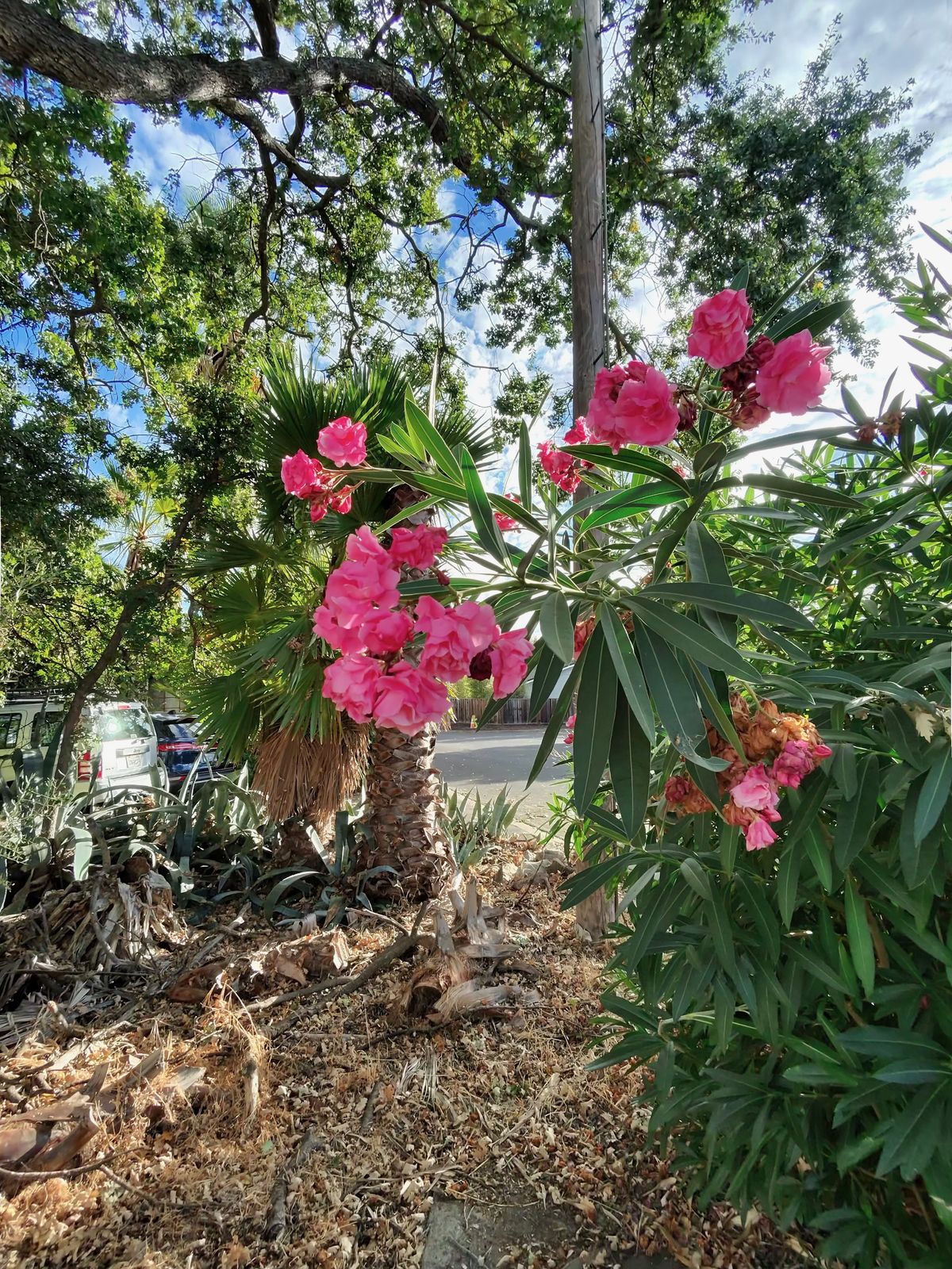 A camera sample showing the visual quality of photos taken from the Ray-Ban Meta smart glasses