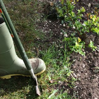 garden area with grass and shoes