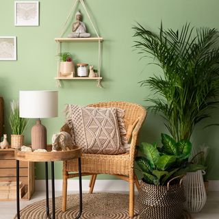 Bamboo chair with macrami cushion next to round coffee table and green wall and green pot plants