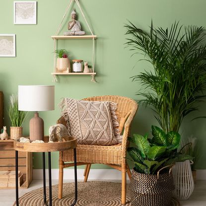 Bamboo chair with macrami cushion next to round coffee table and green wall and green pot plants