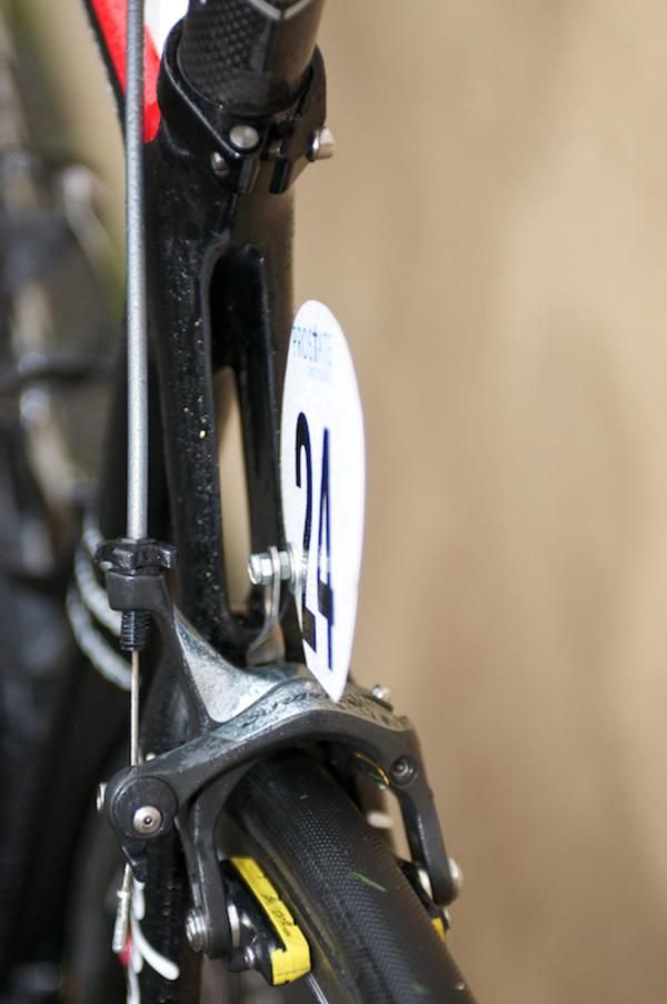More a split wishbone seatstay than individual stays.