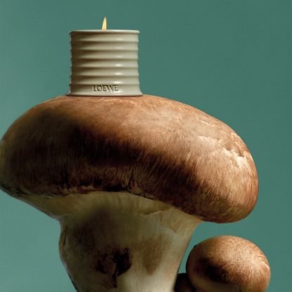 Loewe's Mushroom candle on top of a mushroom.