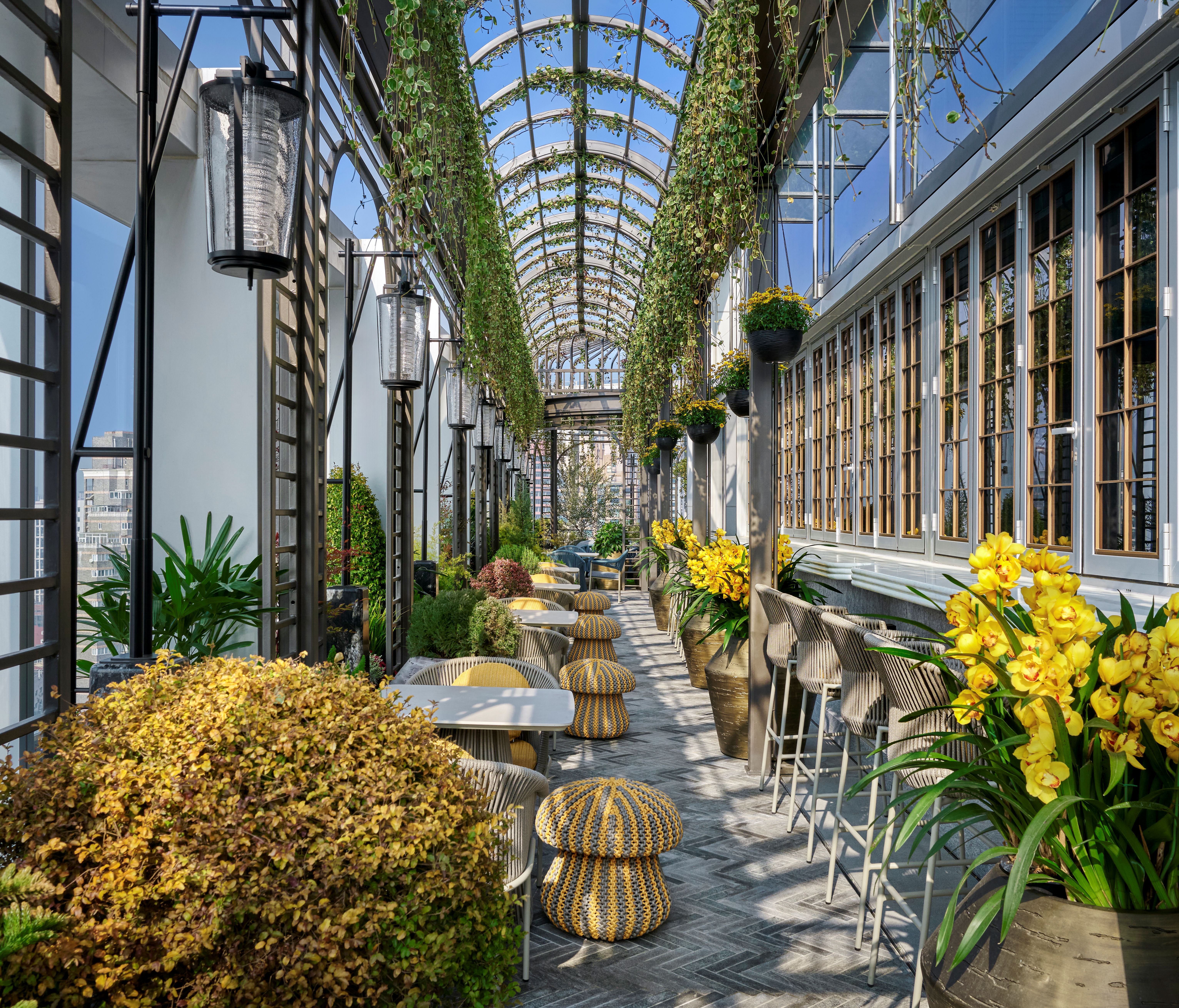 andaz shanghai itc review