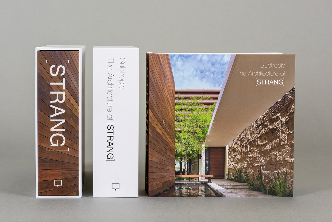 subtropic max strange architectuee book cover