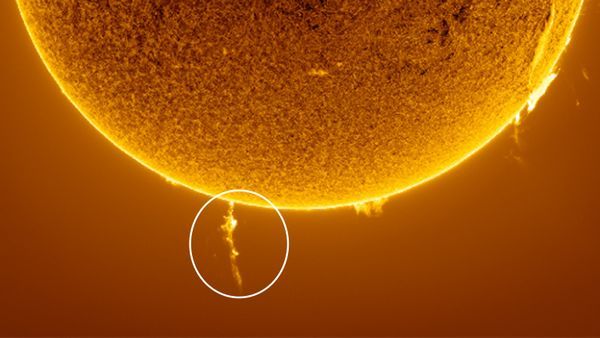 A large plume of plasma stick out from the sun&#039;s south pole 