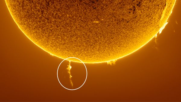 ‘A wonderful spectacle’: Photographer snaps rare solar eruption as ‘magnetic noose’ strangles the sun’s south pole Space