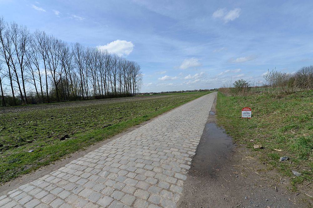Movistar training on the Paris-Roubaix cobbles as recon for stage 9 at the Tour de France