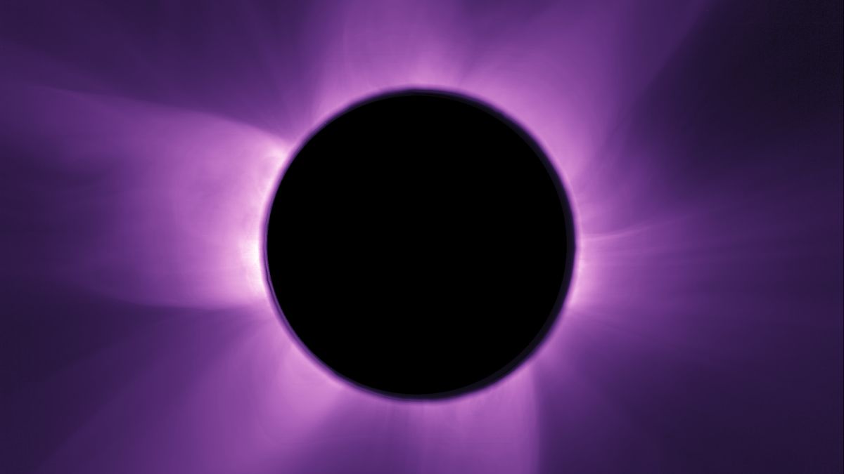 A black circle sits on a purple background