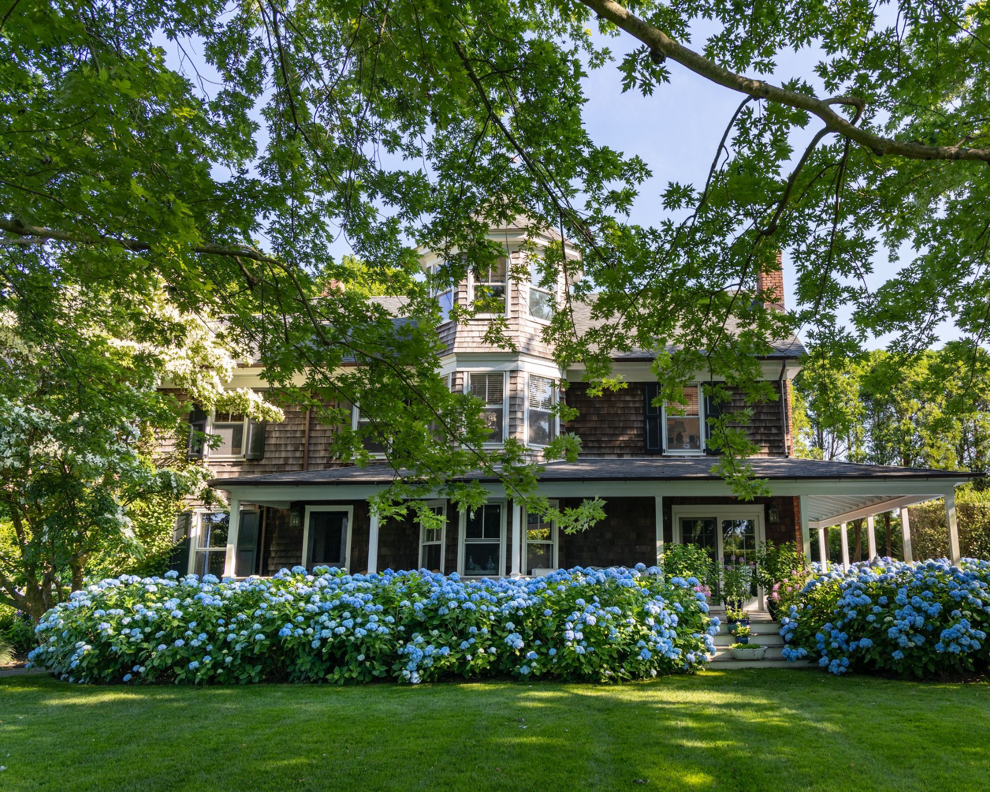 A house with blue hydrangea border