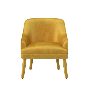 Effie Upholstered Accent Chair