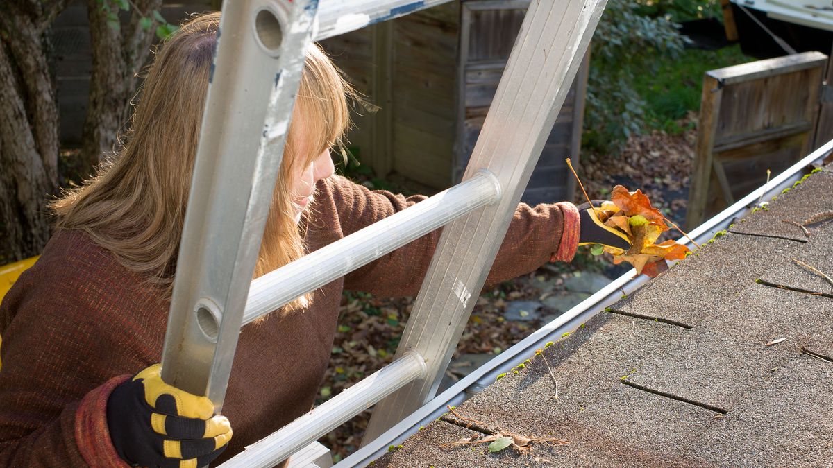 How much does gutter cleaning cost? Homebuilding