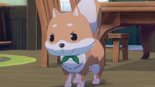 Dog in Story of Seasons Grand Bazaar