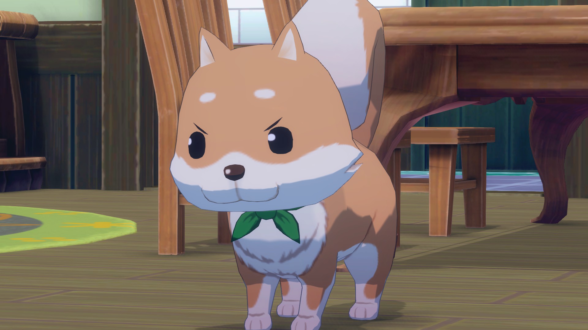 Dog in Story of Seasons Grand Bazaar