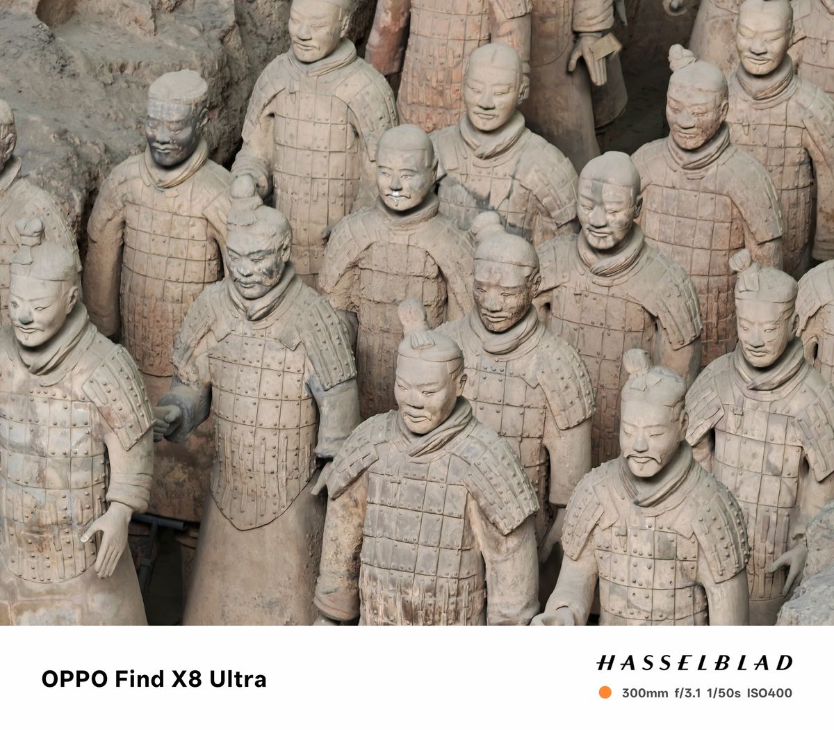 Rows of terracotta warriors