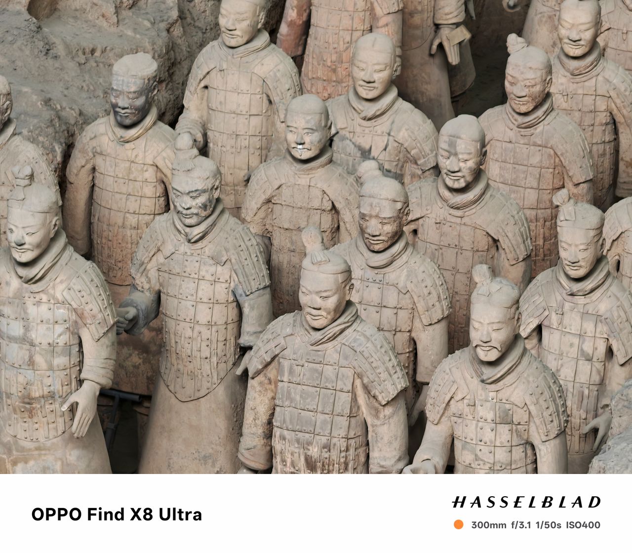 Rows of terracotta warriors
