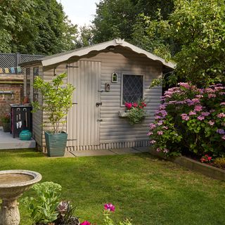 wooden garden shed with plants and pots