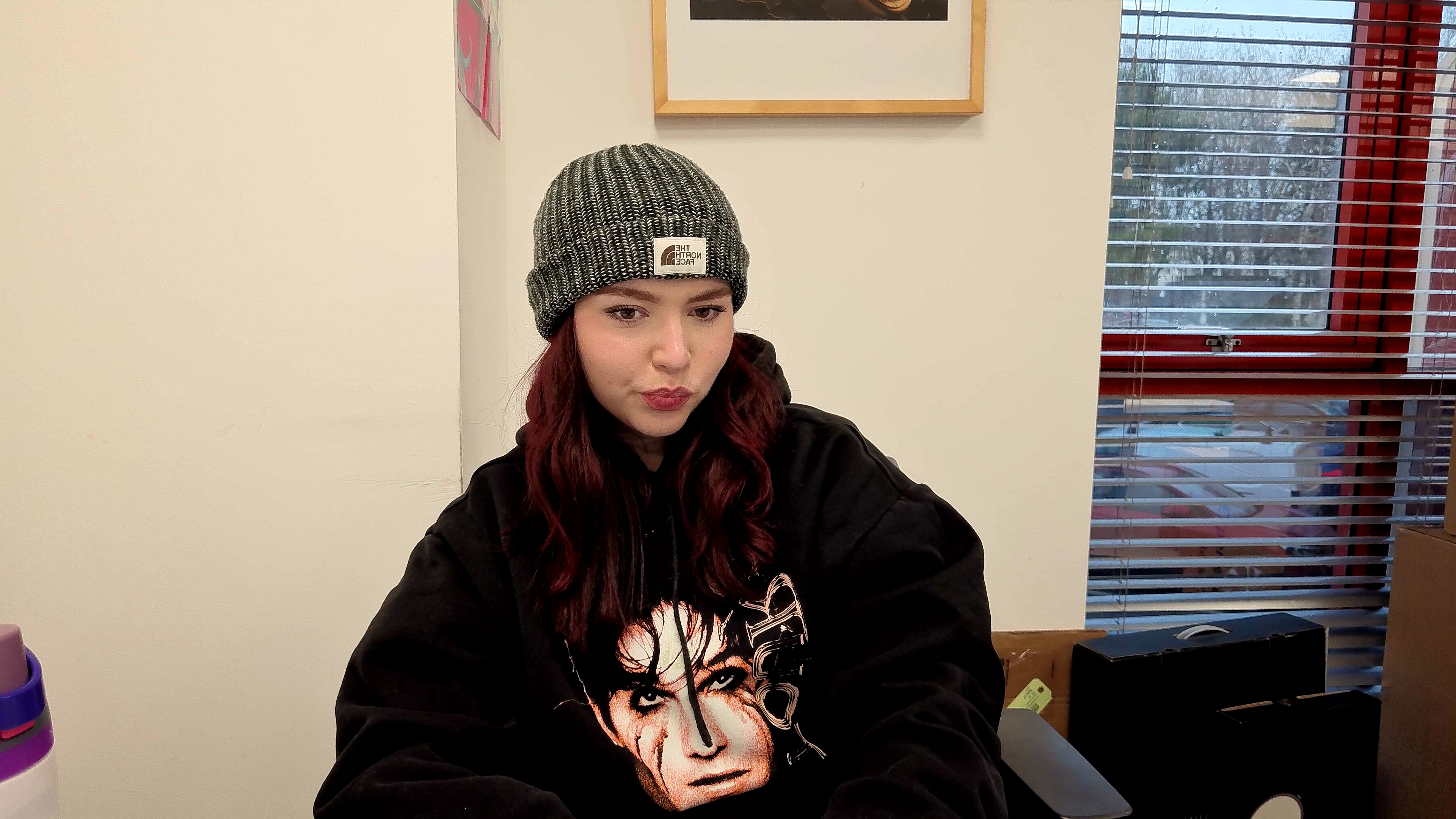 Images taken using the Insta360 Link 2 Pro