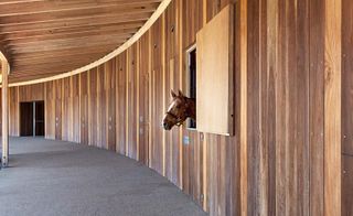An Australian equestrian centre