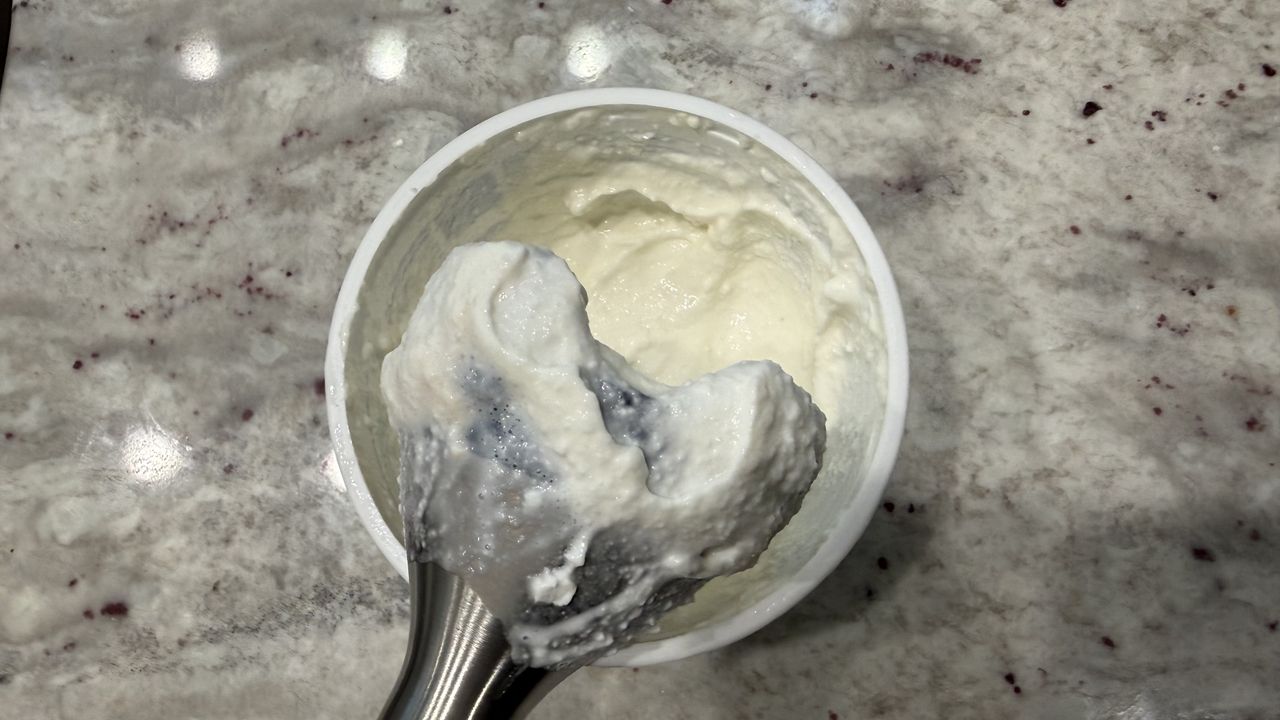 Ninja Power Duo Immersion Blender with Whisk, blended cottage cheese right in the container