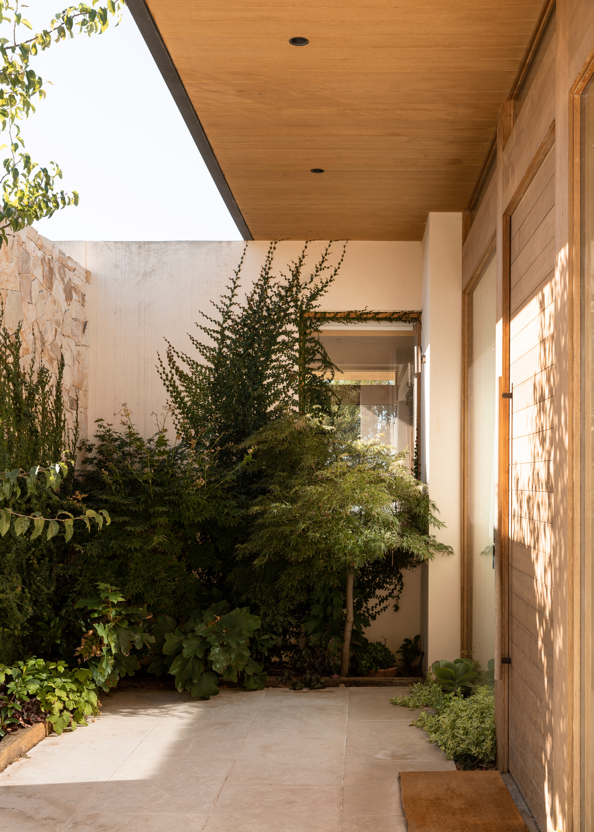 A home with a clean pathway leading to the front door surrounded by climbingg plants and a short tree