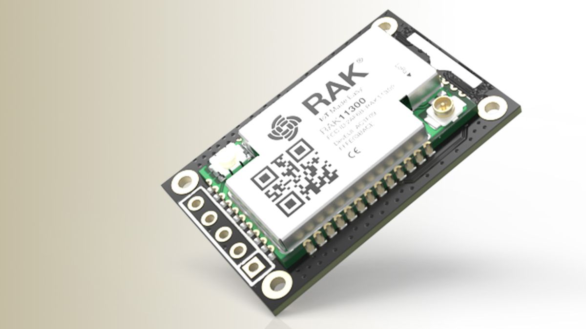 Wisblock modules and enclosures